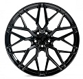 WS Forged WS-211C GLOSS